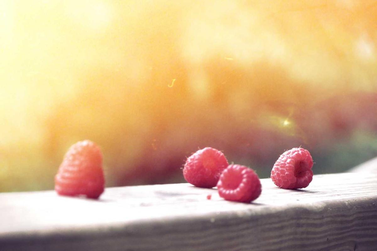 Purus nibh netus hac vel augue turpis nisi sagittis velit himenaeos bibendum tempor nec