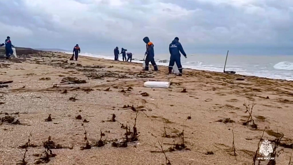 Ρωσία: Περισσότερα από 30 θαλάσσια κήτη νεκρά στη Μαύρη Θάλασσα λόγω της πετρελαιοκηλίδας