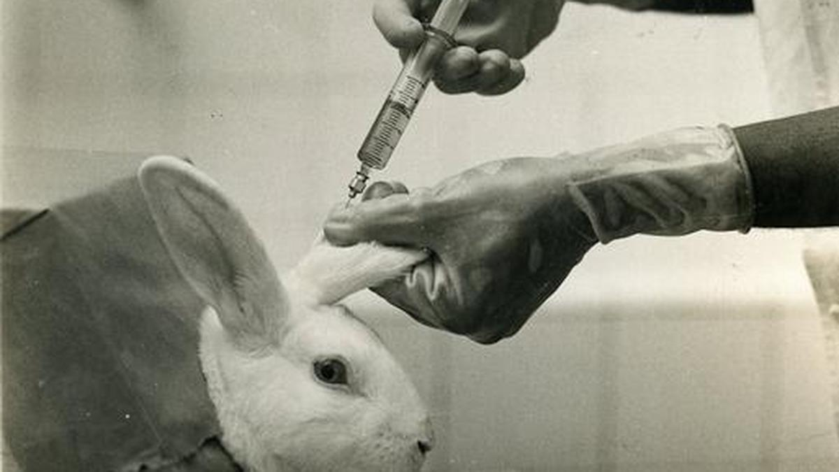 Animal Testing: Early History
