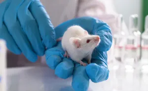 Animal Testing (1800s through mid-1900s)