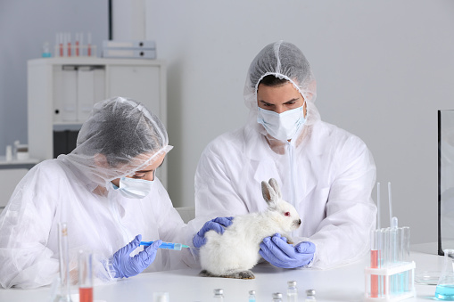 Animal Testing and COVID-19