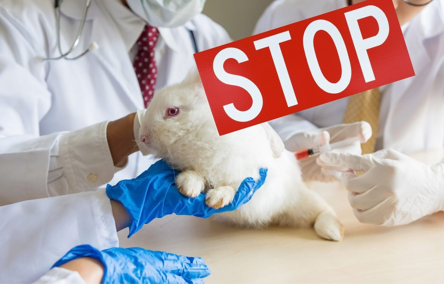 What Countries Banned Animal Testing: A Global Overview